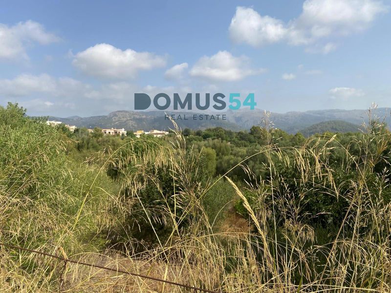 Plot for sale Campanet, Baleares. Ref: 51641. DOMUS54 Real Estate