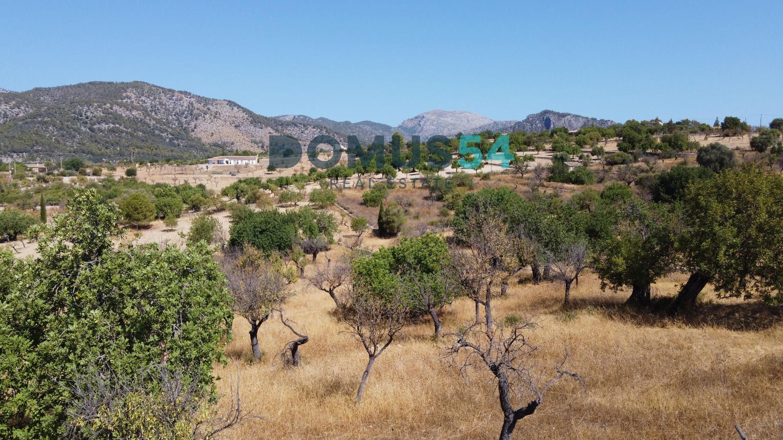 Exclusiva finca rústica con proyecto y licencia en Moscari, Selva — Foto 20