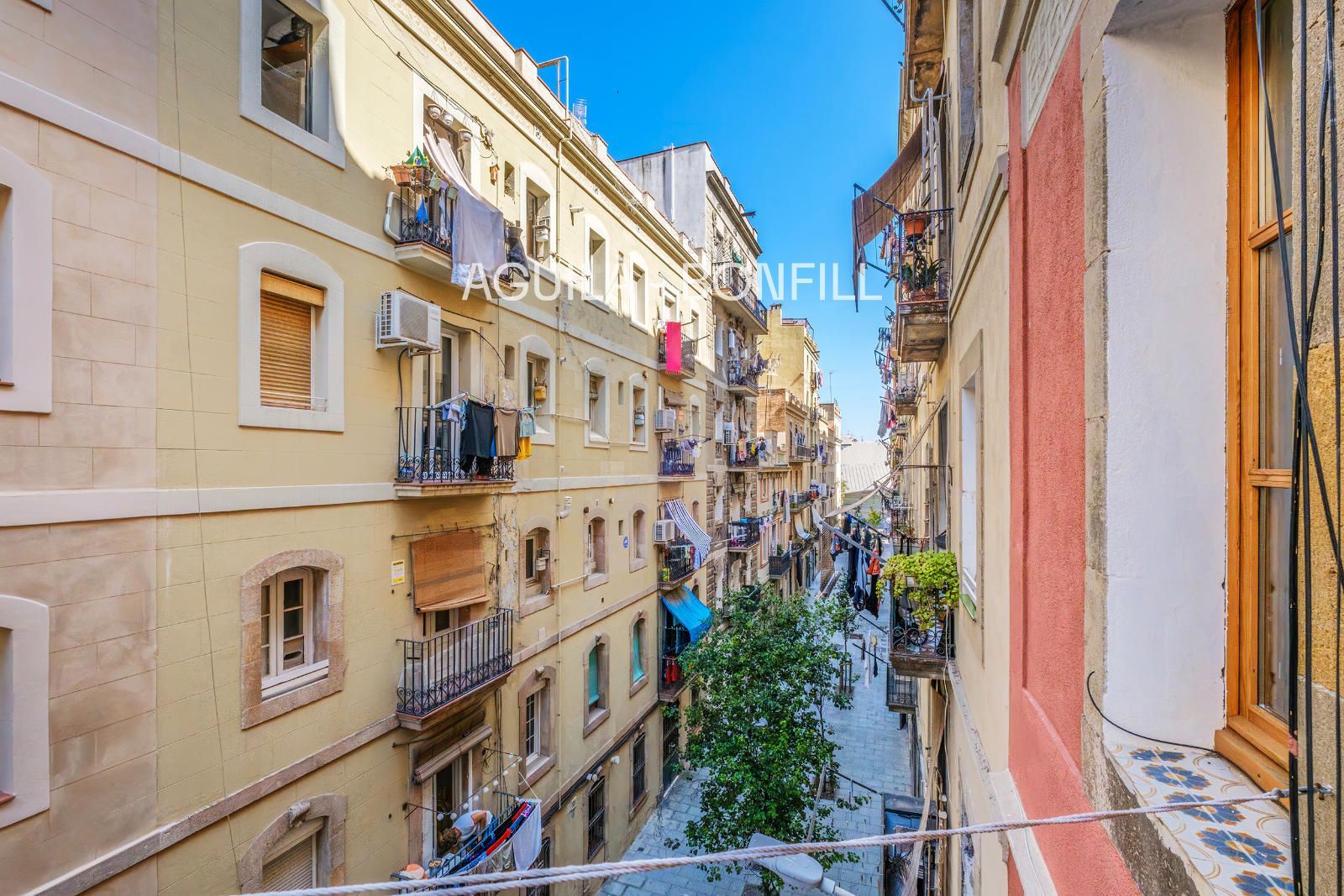 Pis en venda a Barcelona (Ciutat Vella) - Foto 15
