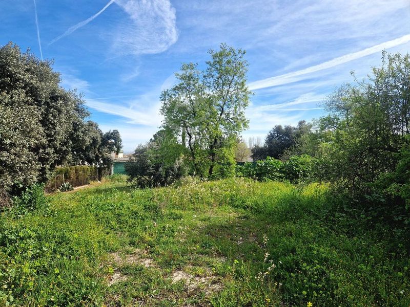 Parcela en venta Nieves, Las, Toledo. Ref: 13872. Inmobiliaria Akris