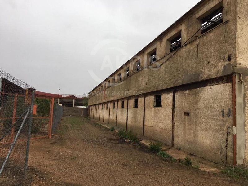 Parcela en venta Madridejos, Toledo. Ref: 14061. Inmobiliaria Akris