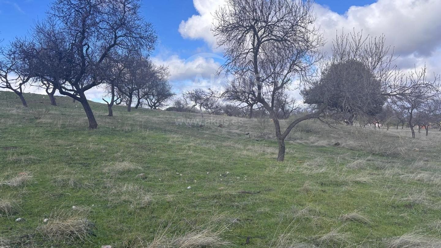 Parcela en venta en Toledo