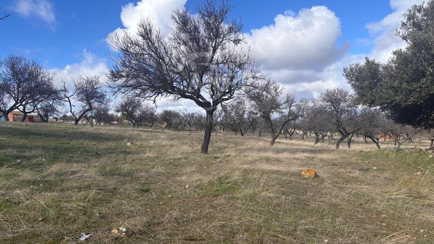 Parcela en venta en Toledo