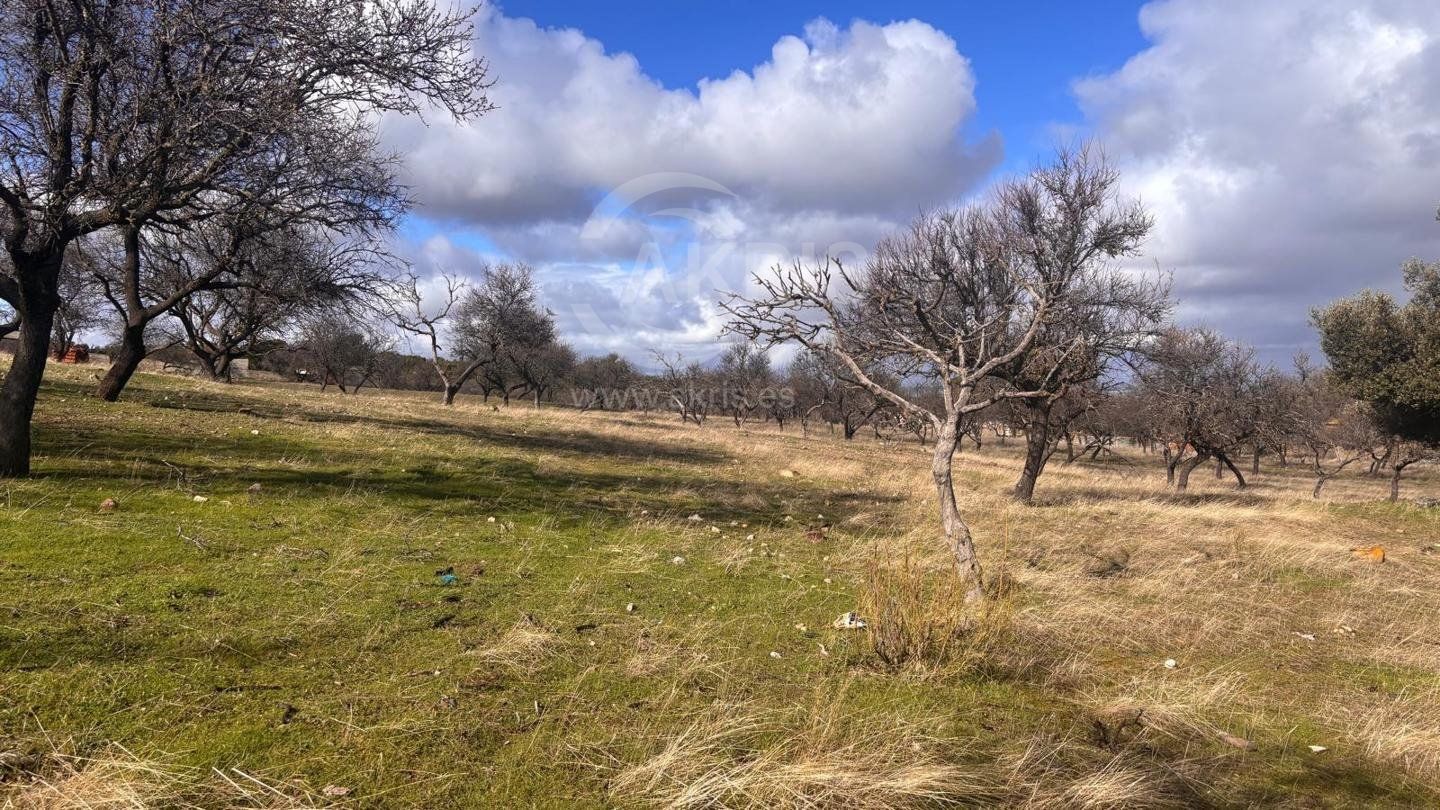 Parcela en venta en Toledo