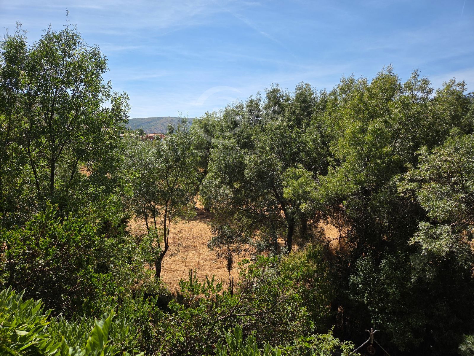 CHALET INDEPENDIENTE EN PLENA NATURALEZA - Foto 16