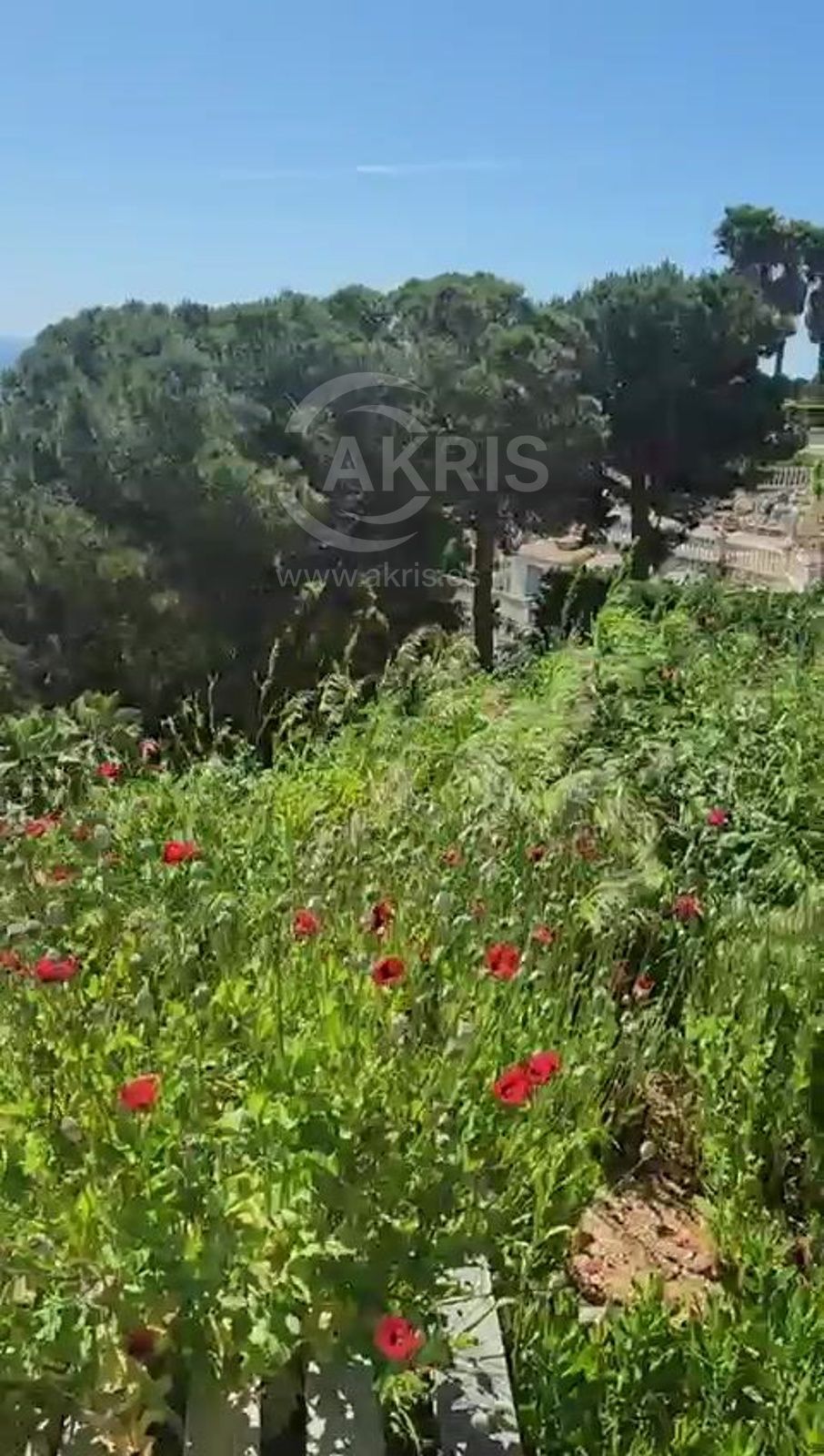 Parcela con proyecto y vistas al mar en Serrabrava - Foto 4