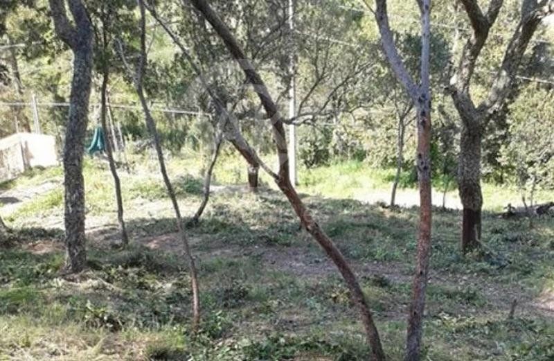 Parcela en venta Maçanet De La Selva, Girona. Ref: 1585. Inmobiliaria Akris