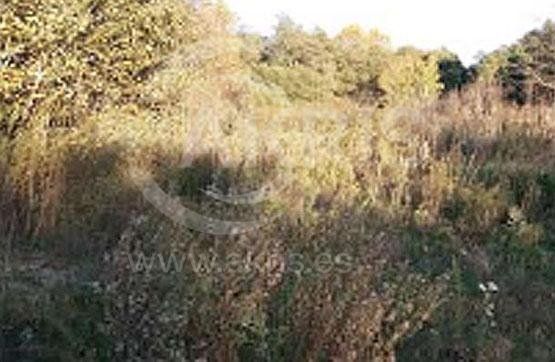 Parcela en venta Vidreres, Girona. Ref: 1737. Inmobiliaria Akris