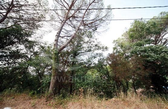 Grundstück zu verkaufen Maçanet De La Selva, Girona. Ref: 1802. Inmobiliaria Akris