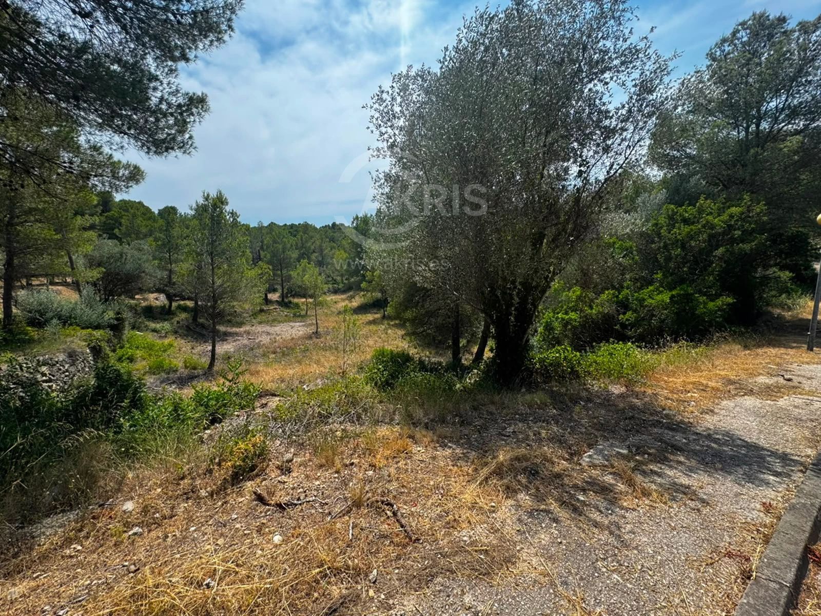 Terreno urbanizable en ptda Coll de L´alba Tortosa - Foto 4