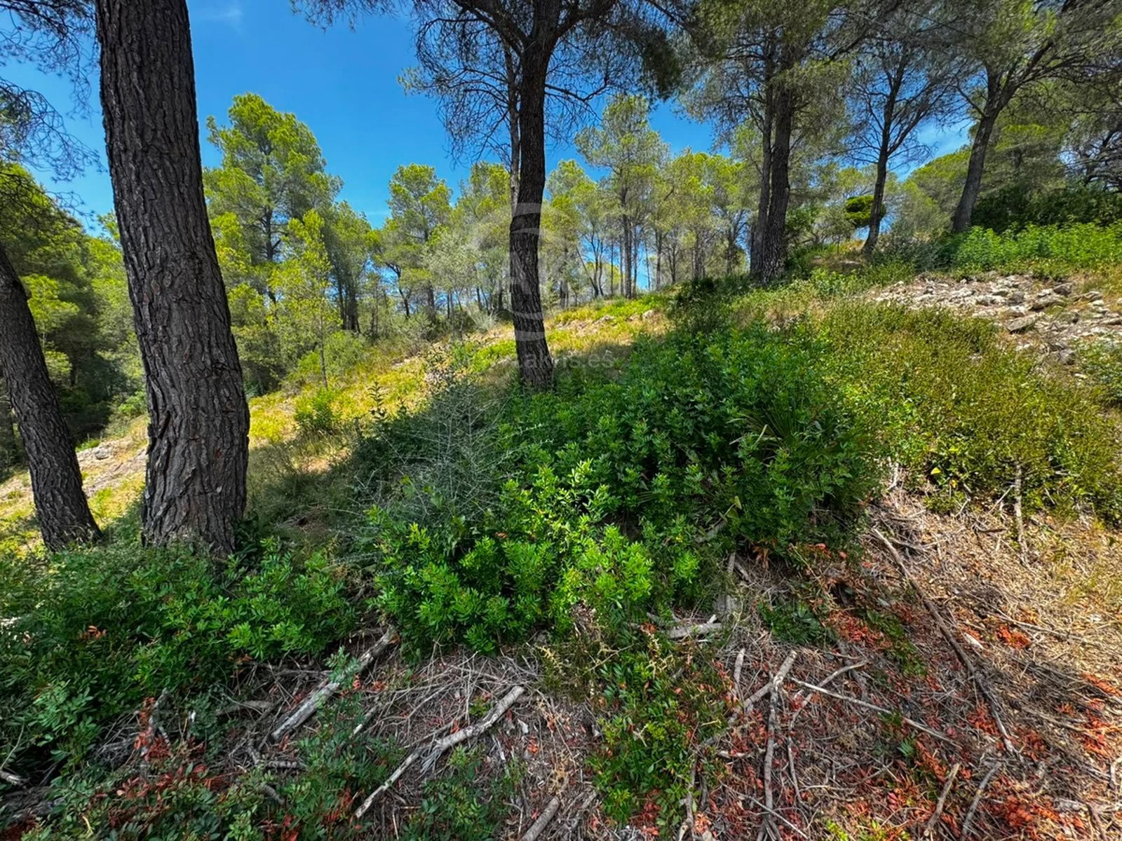 Terreno urbanizable en ptda Coll de L´alba Tortosa - Foto 3