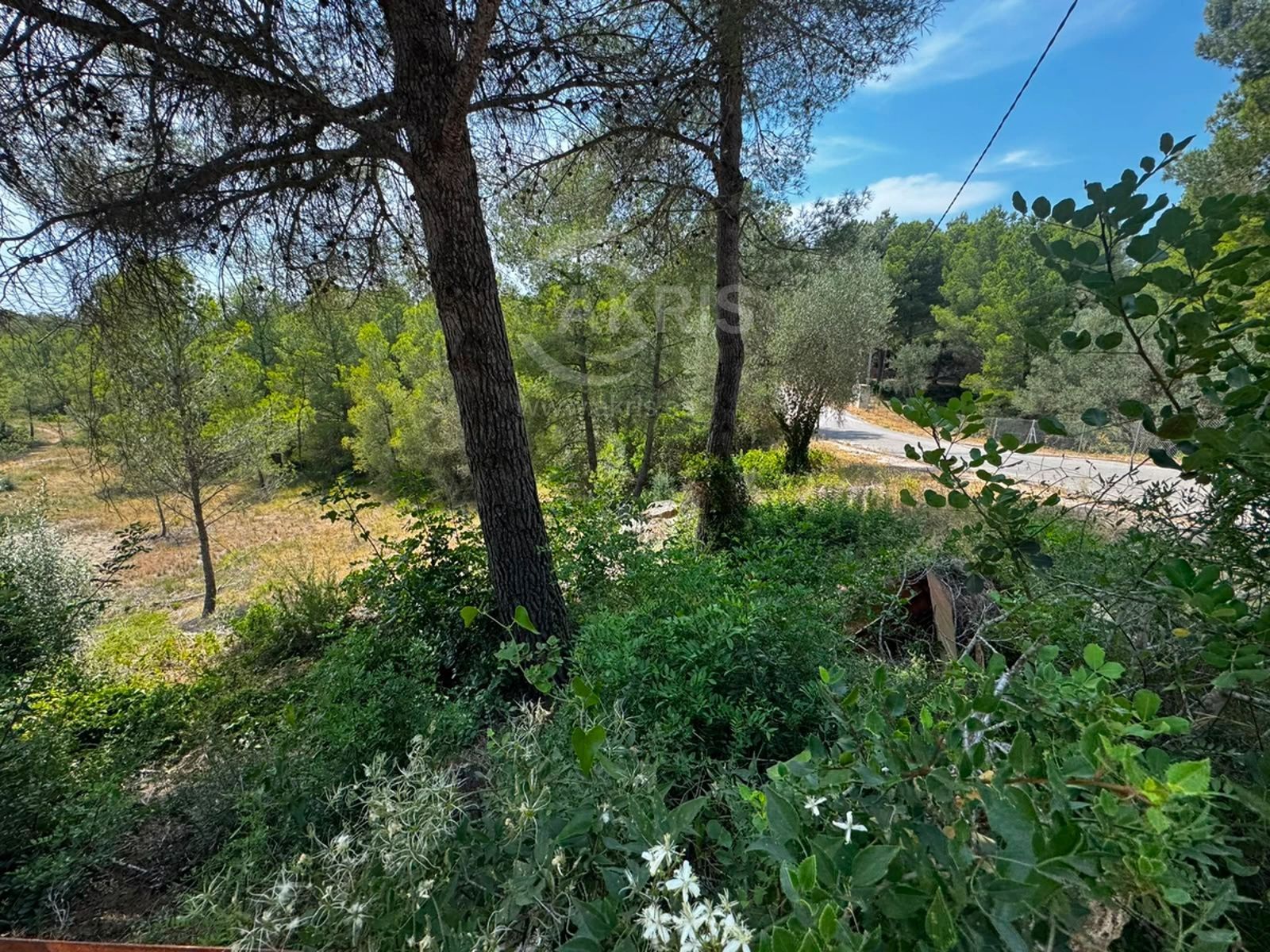 Terreno urbanizable en ptda Coll de L´alba Tortosa - Foto 1