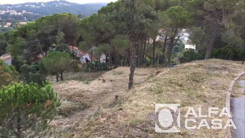Parcelle en vente Vidreres, Girona. Ref: 1504. Alfa Casa