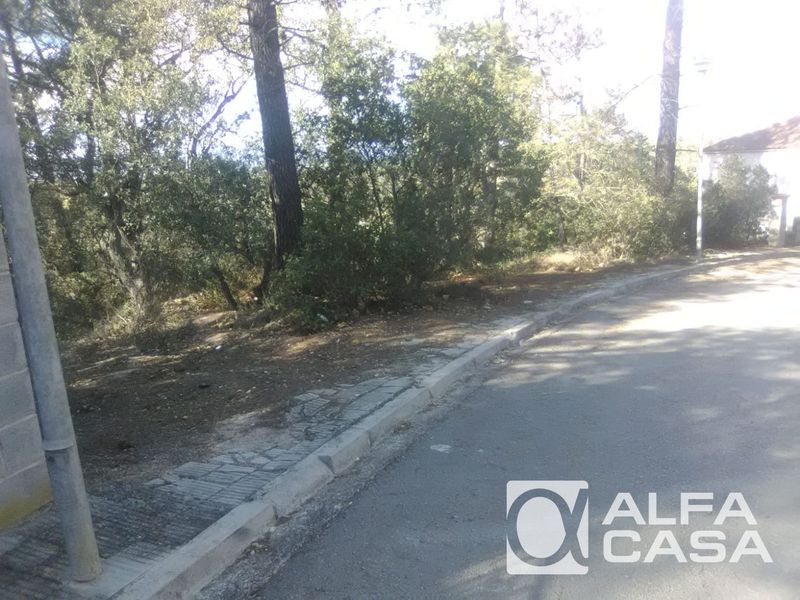 Parcelle en vente Vidreres, Girona. Ref: 1516. Alfa Casa