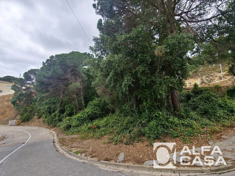 Parcelle en vente Lloret de Mar, Girona. Ref: 1729. Alfa Casa