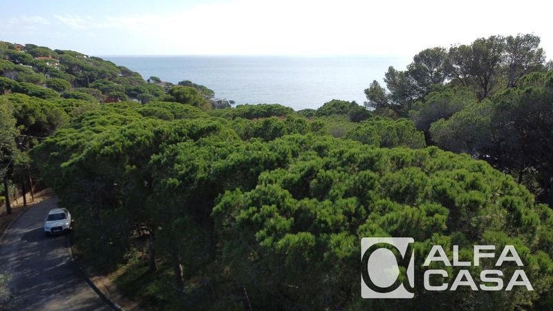 Parcelle en vente Lloret de Mar, Girona. Ref: 2055. Alfa Casa