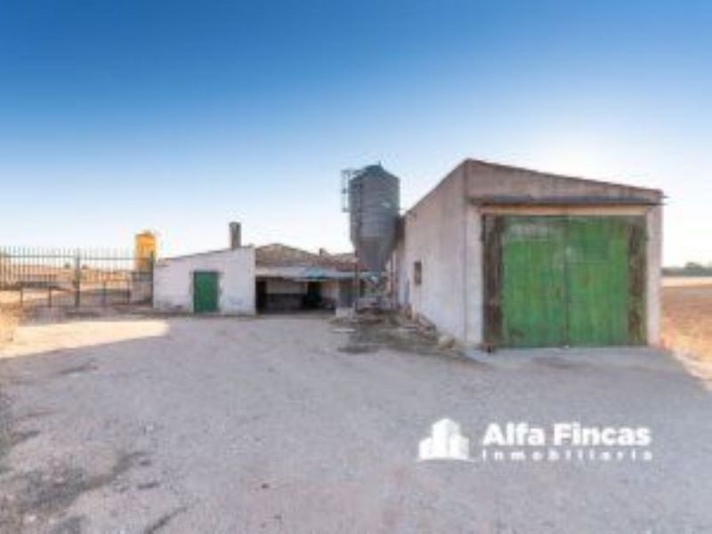 Parcela en venta San Clemente, Cuenca. Ref: 1119. ALFA FINCAS