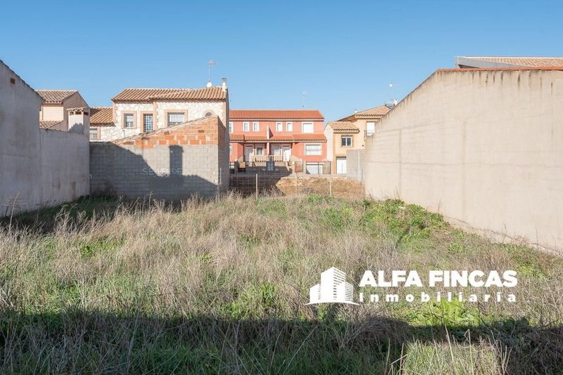 Parcela en venta San Clemente, Cuenca. Ref: 1163. ALFA FINCAS