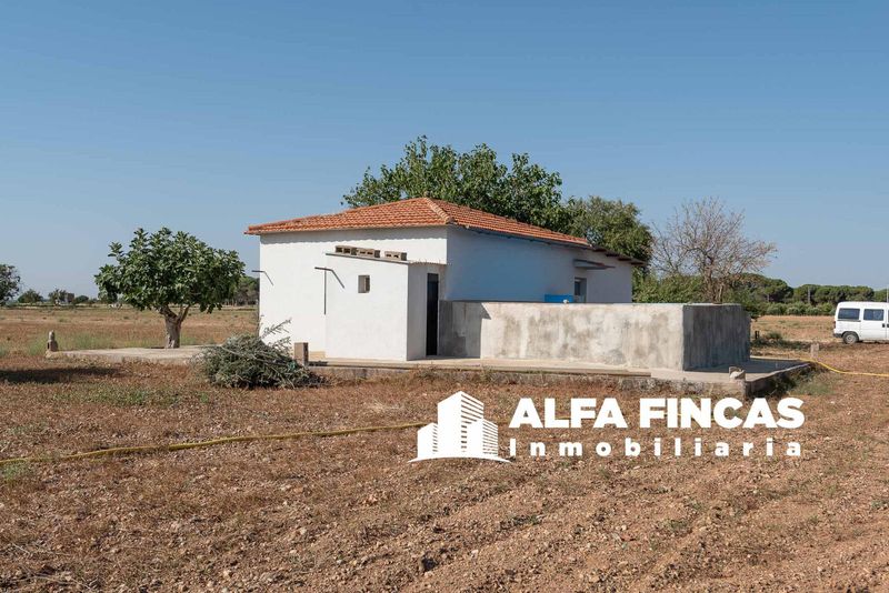 Chalet Independiente en venta San Clemente, Cuenca. Ref: 2457. ALFA FINCAS