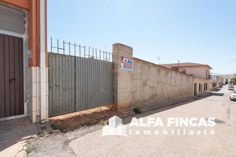 Parcela en venta San Clemente, Cuenca. Ref: 2582. ALFA FINCAS