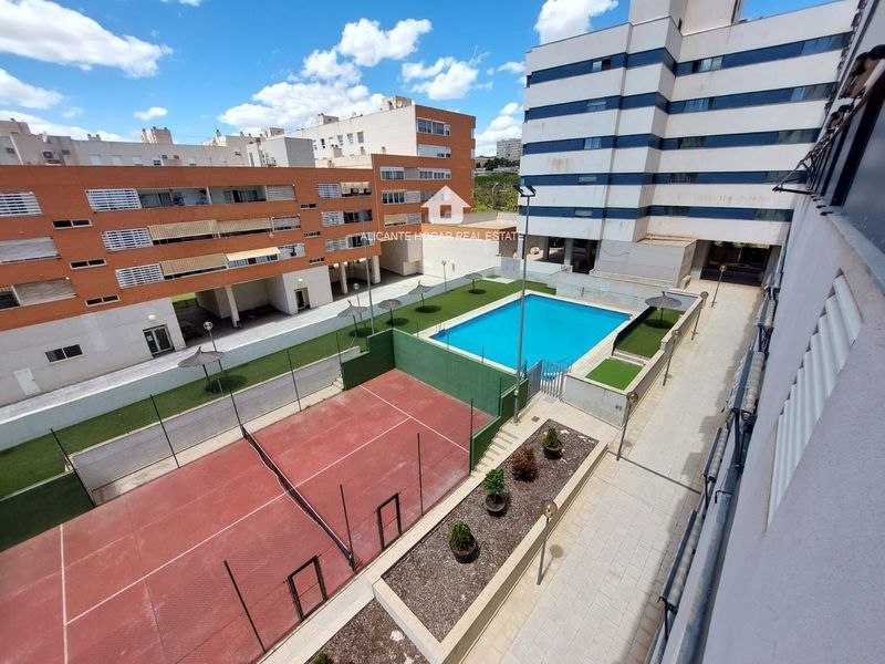 Piso en alquiler Alicante/Alacant, Alicante. Ref: 1881. Alicante Hogar Real Estate