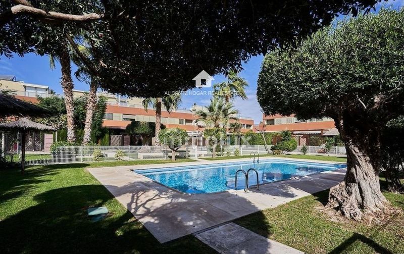 Ático en alquiler Alicante/Alacant, Alicante. Ref: 1886. Alicante Hogar Real Estate