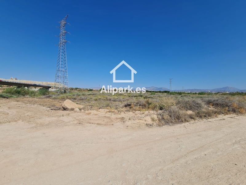 Plot for sale Alicante/Alacant, Alicante. Ref: 1501. Alipark.es