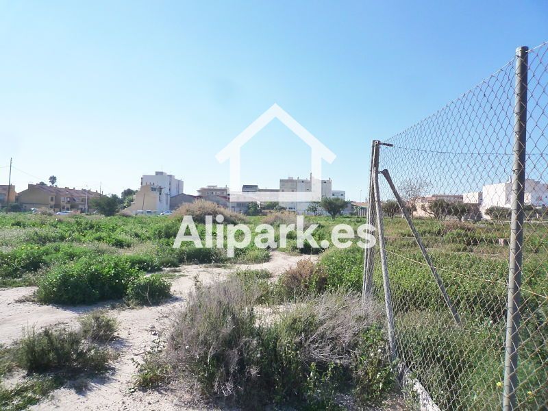 Plot for sale and rent Mutxamel, Alicante. Ref: 1745. Alipark.es