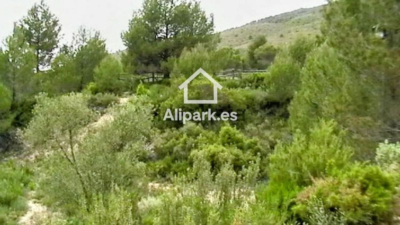 Plot for sale Onil, Alicante. Ref: 2252. Alipark.es