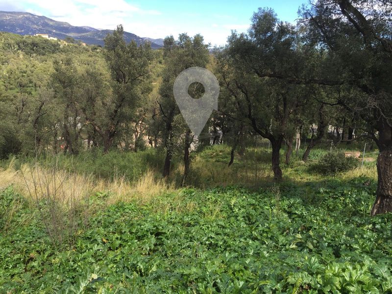 Parcela en venta Agullana, Girona. Ref: 1088. Alto Immo