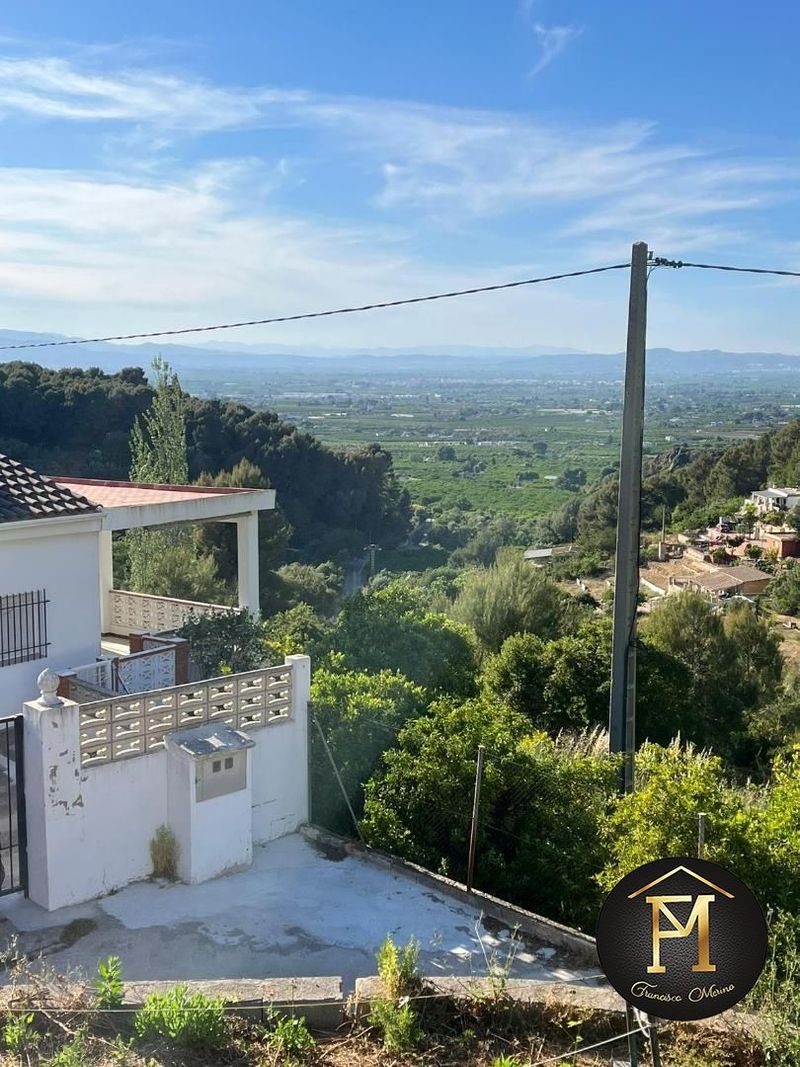 Detached Villa for sale Alzira, Valencia. Ref: 1181. Fran Merino asesor inmobiliario