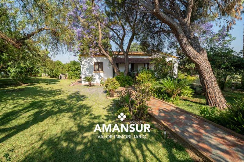 Chalet Independiente en venta Cartaya, Huelva. Ref: 2294. Amansur Inmobiliaria