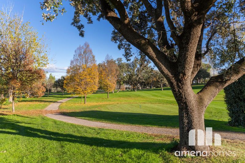 Chalet Independiente en alquiler San Sebastián de Los Reyes, Madrid. Ref: 1141. Amena Homes