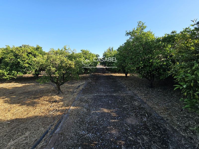 Parcela en venta Córdoba. Ref: 2613. CASABEL INMOBILIARIA