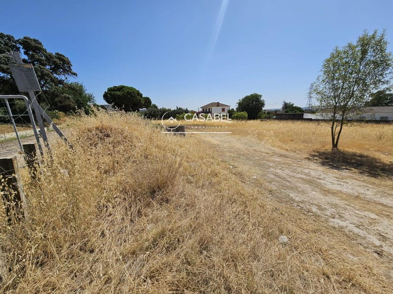 Parcela en venta Alcolea, Córdoba. Ref: 3464. CASABEL INMOBILIARIA