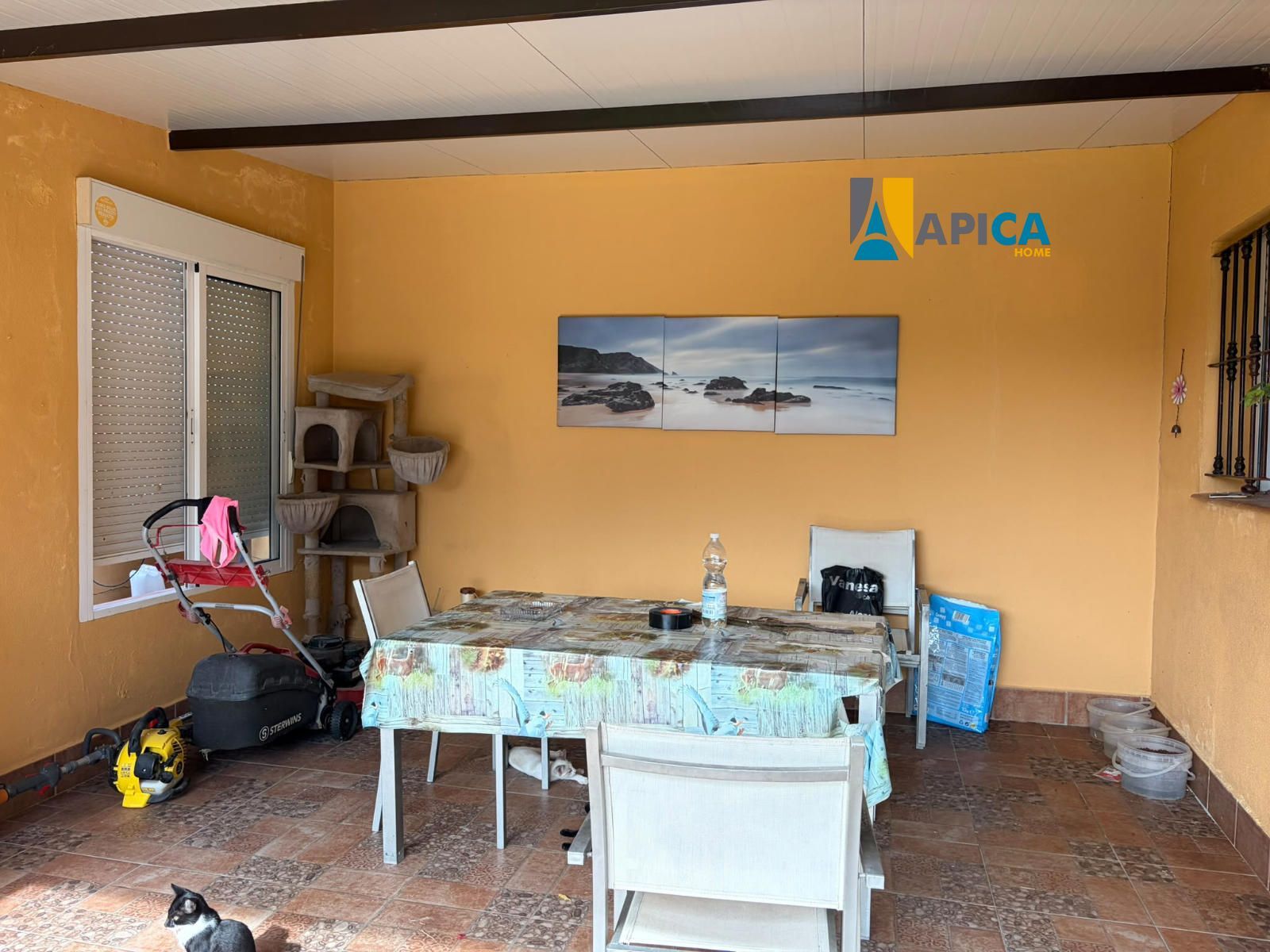 🏡 ¡CHALET CON PISCINA, POZO Y CONTADOR DE LUZ EN PARCELA SEGREGADA DE 771 m² EN EL SOTILLO (CHICLANA)! - Foto 3