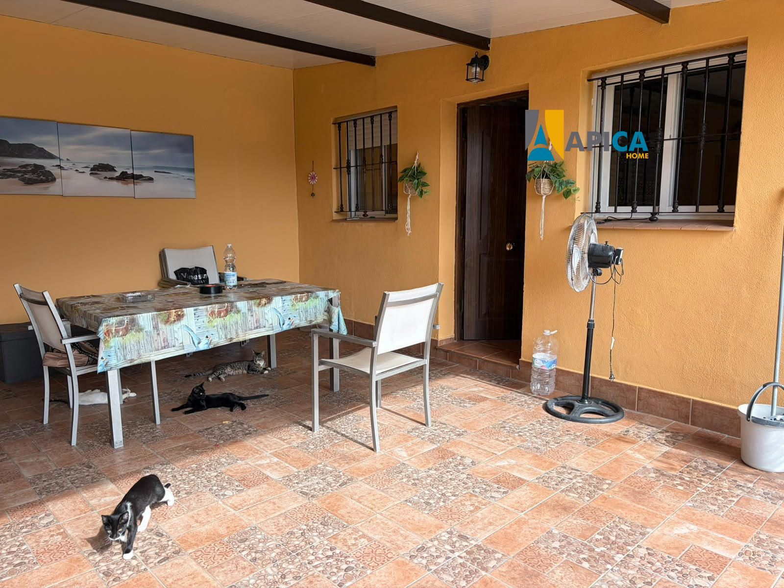 🏡 ¡CHALET CON PISCINA, POZO Y CONTADOR DE LUZ EN PARCELA SEGREGADA DE 771 m² EN EL SOTILLO (CHICLANA)! - Foto 4
