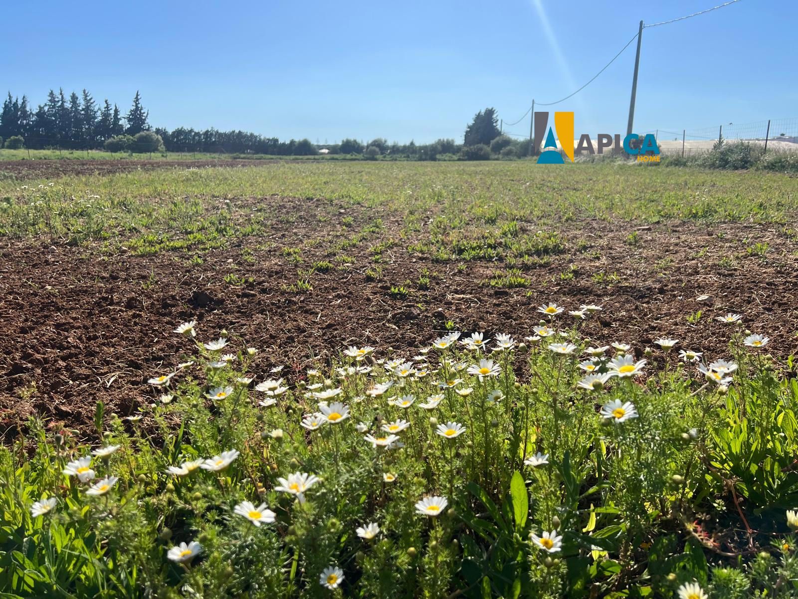 Parcela en venta Conil De La Frontera, Cádiz. Ref: 12766. Apica Home