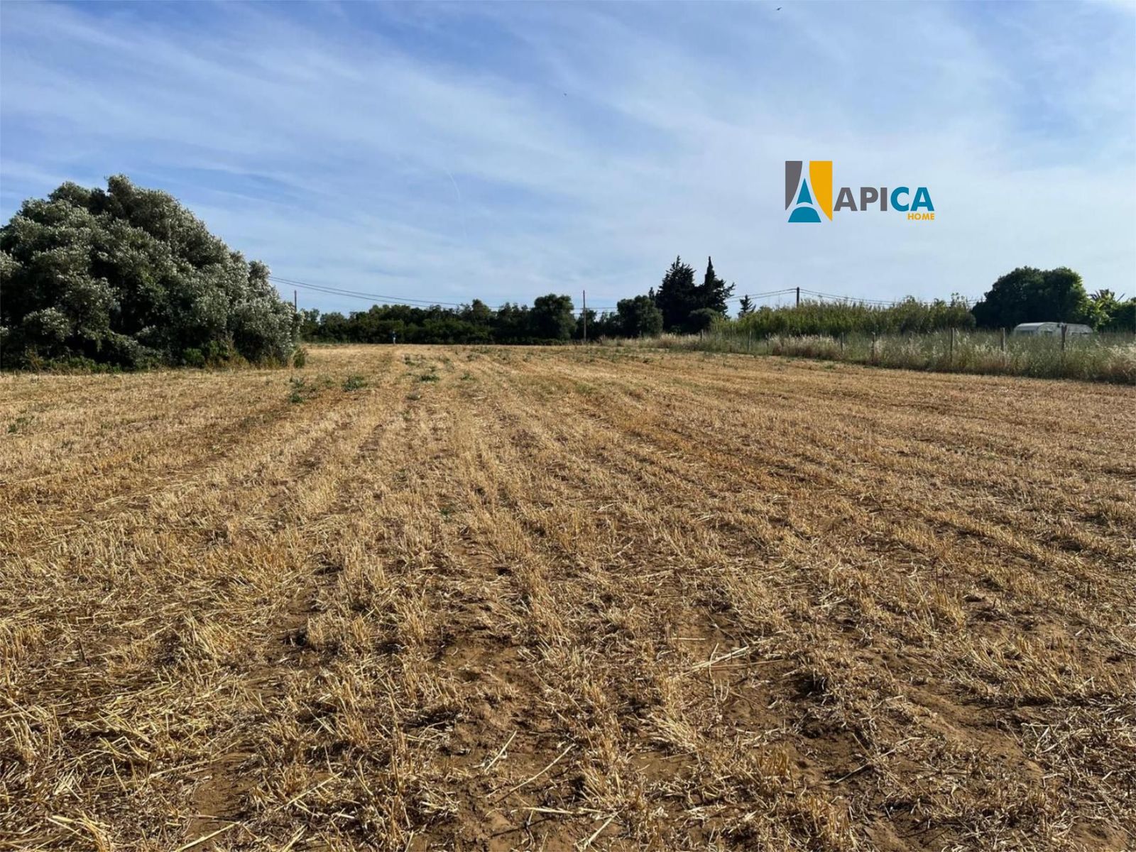 Parcela en venta Conil De La Frontera, Cádiz. Ref: 13031. Apica Home