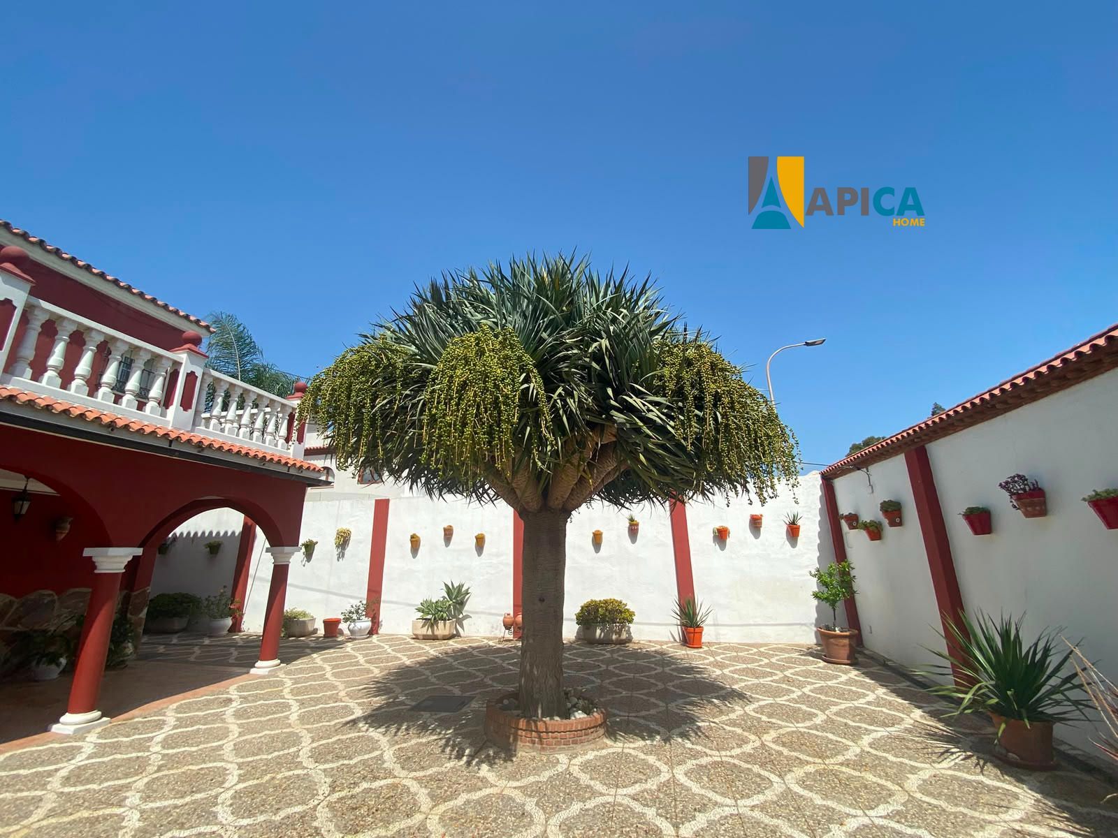 Campamento, san Roque Vivienda unifamiliar, ubicada en zona muy tranquila y con privacidad. - Foto 29