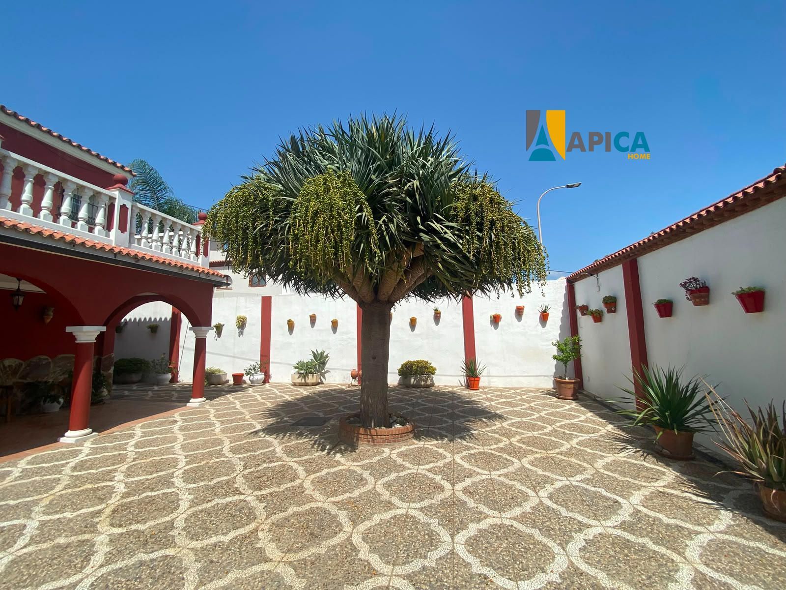 Campamento, san Roque Vivienda unifamiliar, ubicada en zona muy tranquila y con privacidad. - Foto 31