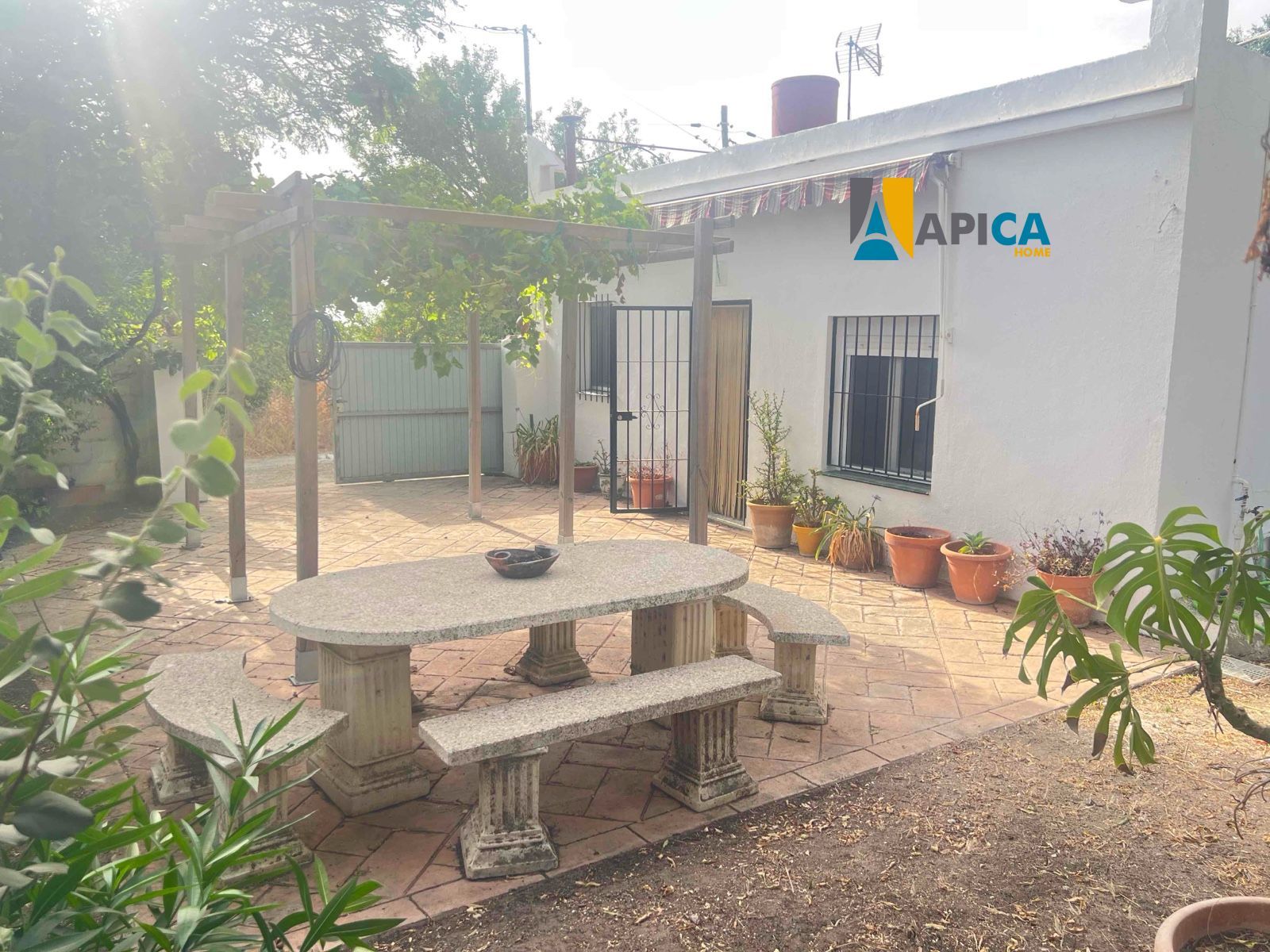 🏡 ¡CASA DE CAMPO EN SUELO URBANO CON 650 m² DE PARCELA EN BARRIO NUEVO (CONIL)! - Foto 2