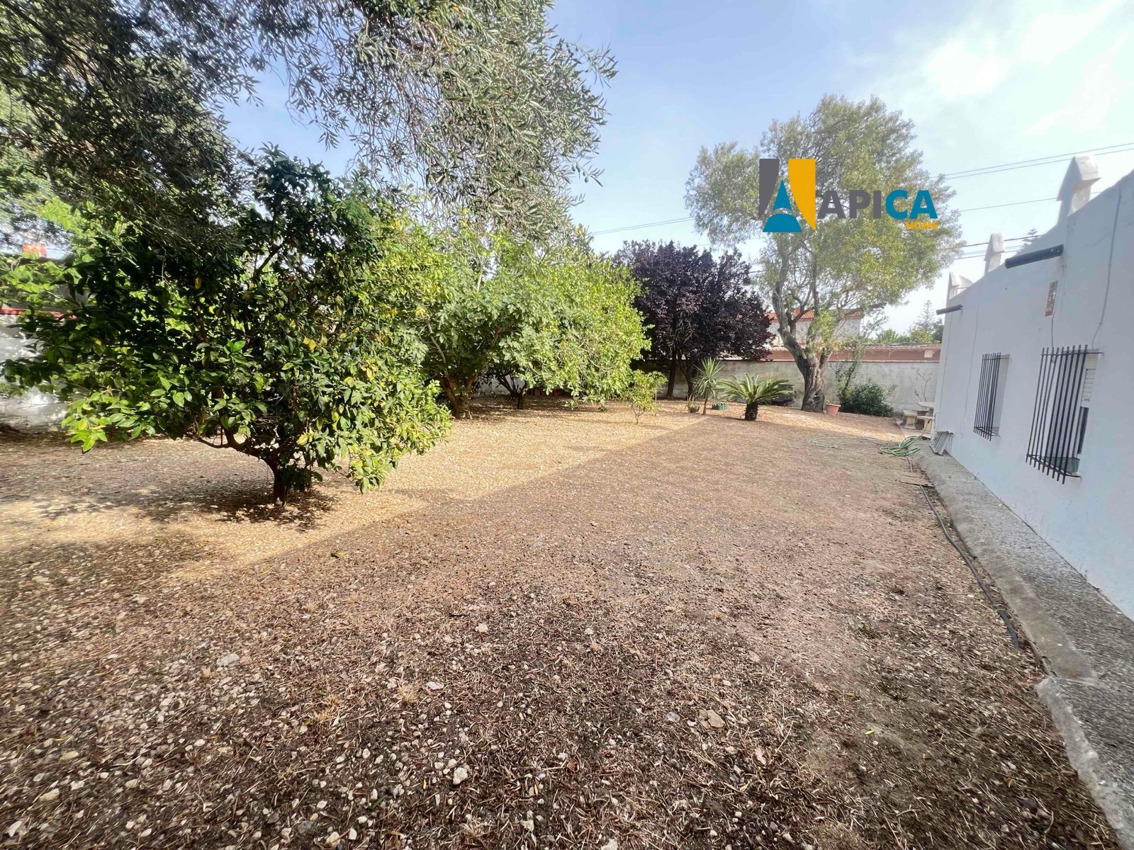 🏡 ¡CASA DE CAMPO EN SUELO URBANO CON 650 m² DE PARCELA EN BARRIO NUEVO (CONIL)! - Foto 3