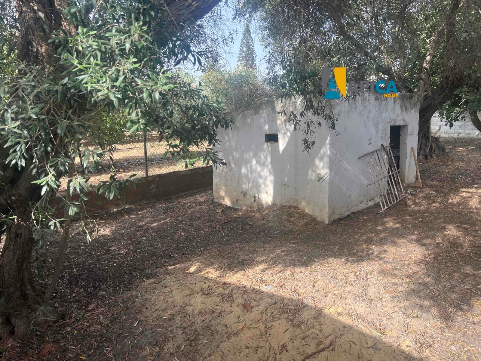 🏡 ¡CASA DE CAMPO EN SUELO URBANO CON 650 m² DE PARCELA EN BARRIO NUEVO (CONIL)! - Foto 28