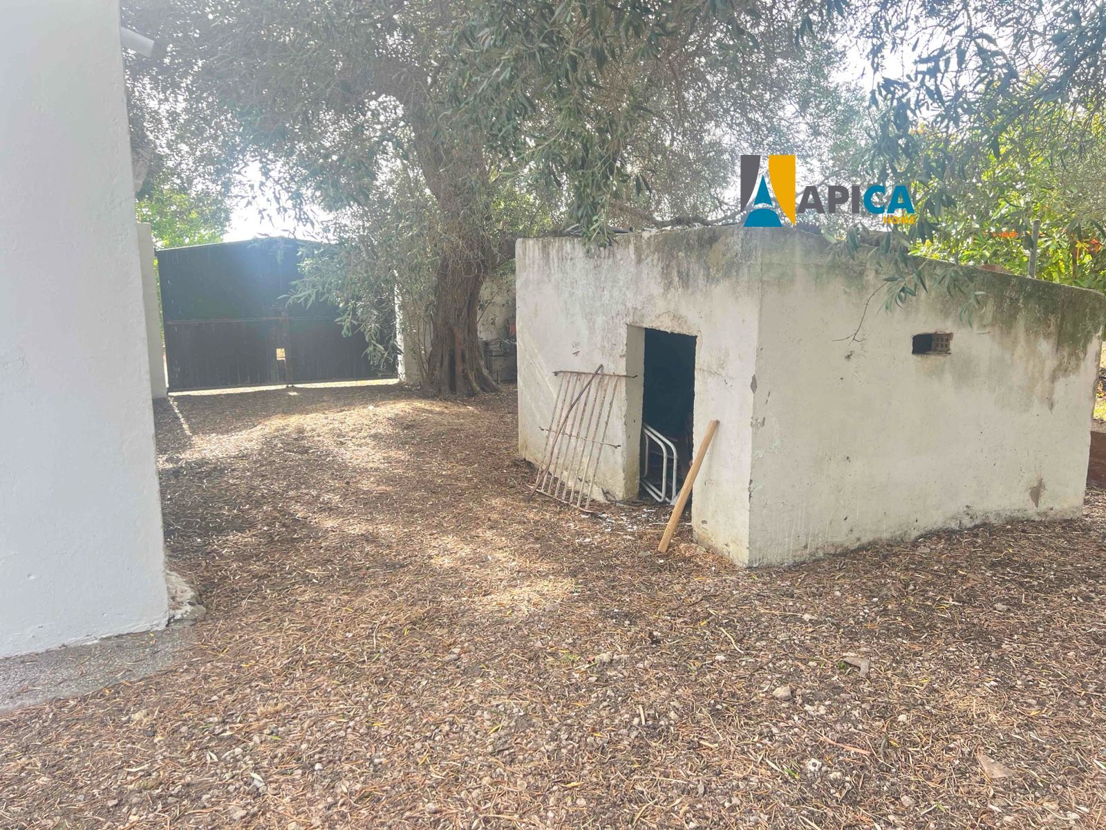 🏡 ¡CASA DE CAMPO EN SUELO URBANO CON 650 m² DE PARCELA EN BARRIO NUEVO (CONIL)! - Foto 23
