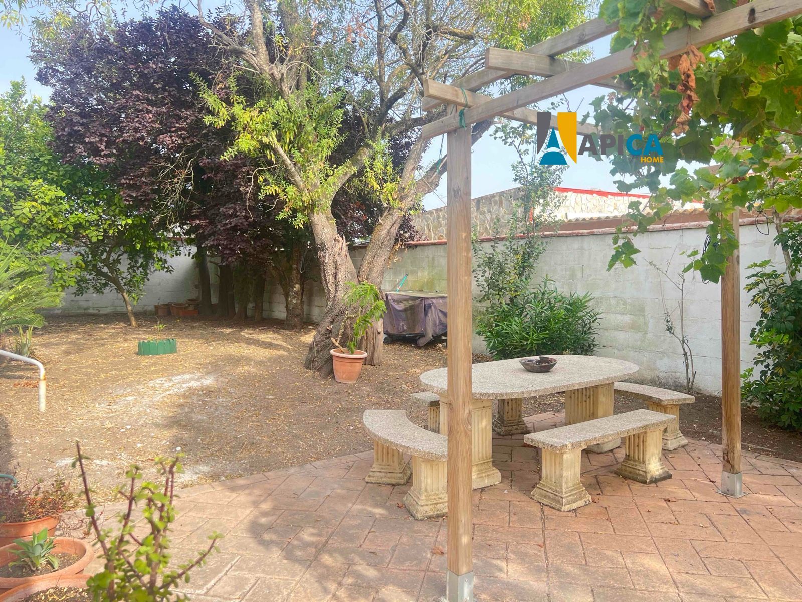 🏡 ¡CASA DE CAMPO EN SUELO URBANO CON 650 m² DE PARCELA EN BARRIO NUEVO (CONIL)! - Foto 13