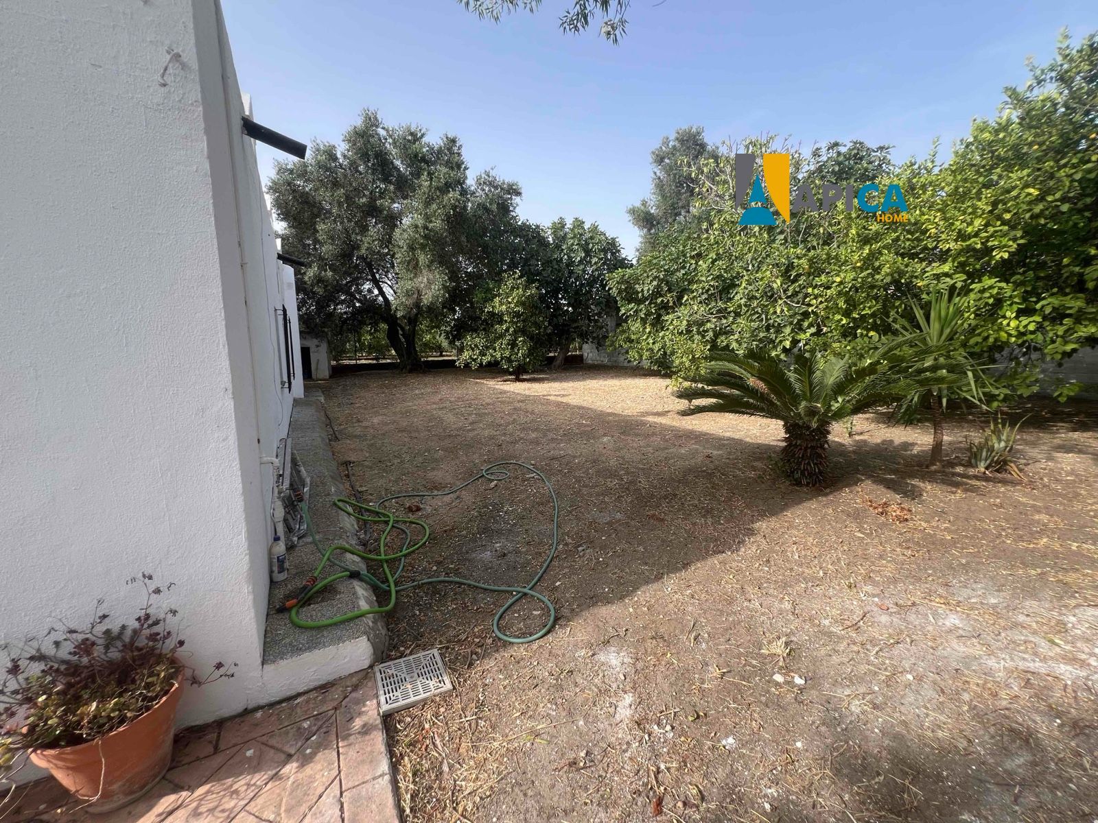 🏡 ¡CASA DE CAMPO EN SUELO URBANO CON 650 m² DE PARCELA EN BARRIO NUEVO (CONIL)! - Foto 14