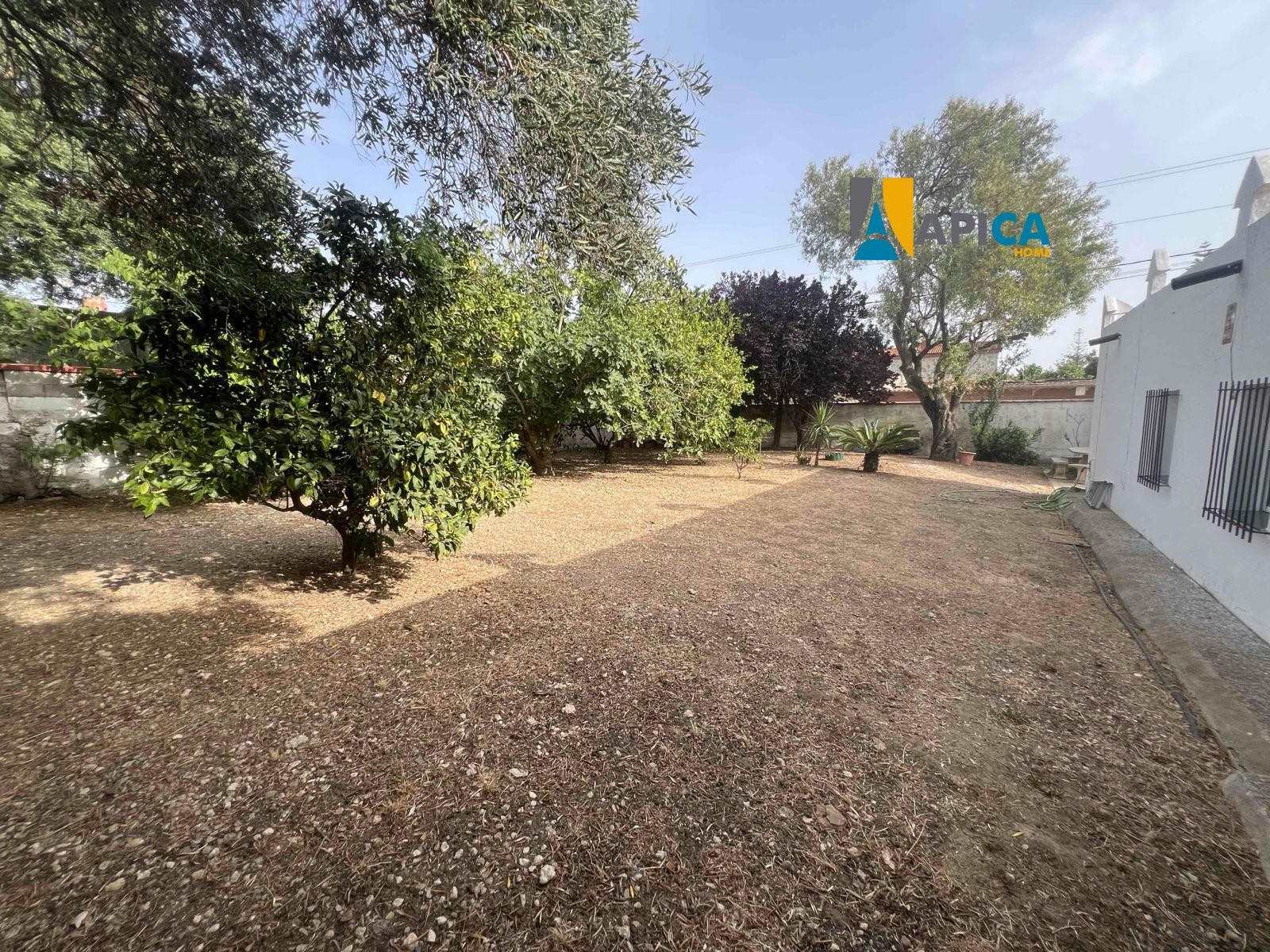 🏡 ¡CASA DE CAMPO EN SUELO URBANO CON 650 m² DE PARCELA EN BARRIO NUEVO (CONIL)! - Foto 21