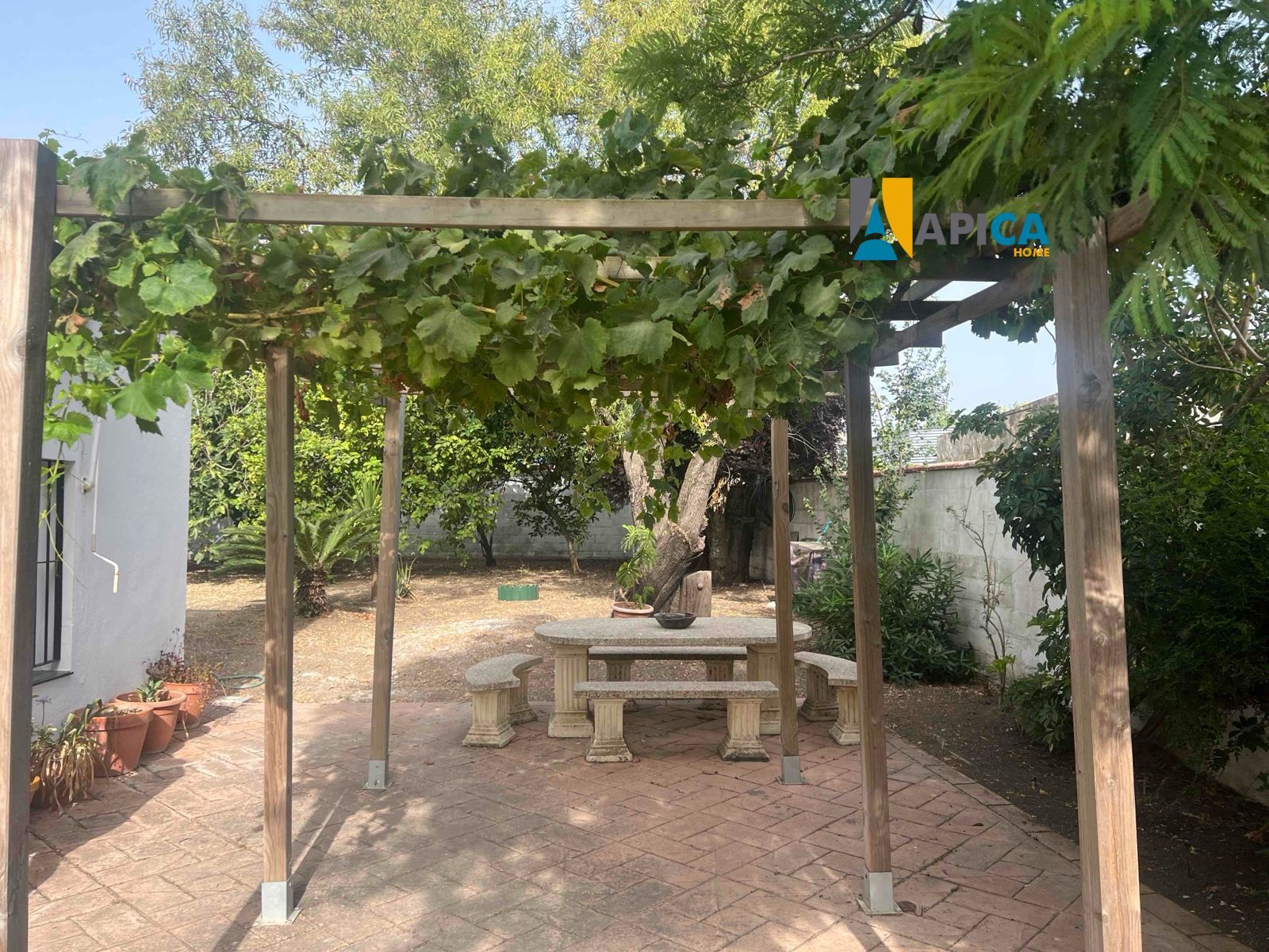 🏡 ¡CASA DE CAMPO EN SUELO URBANO CON 650 m² DE PARCELA EN BARRIO NUEVO (CONIL)! - Foto 16