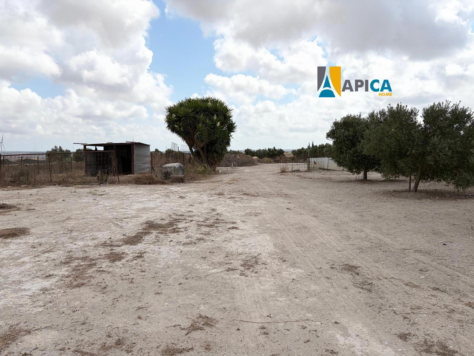 🏡 ¡ PARCELA DE 3.769 m² CON POZO Y CUARTO DE APEROS EN EL PAGO EL CUARTILLO (CHICLANA)! - Foto 2